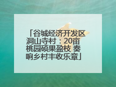 谷城经济开发区洞山寺村：20亩桃园硕果盈枝 奏响乡村丰收乐章