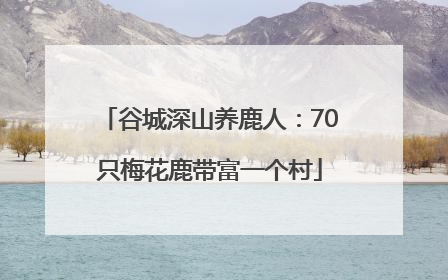 谷城深山养鹿人：70只梅花鹿带富一个村