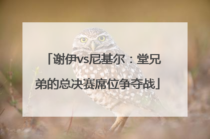 谢伊vs尼基尔：堂兄弟的总决赛席位争夺战