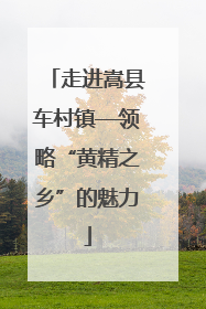 走进嵩县车村镇—领略“黄精之乡”的魅力