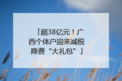 超38亿元！广西个体户迎来减税降费“大礼包”