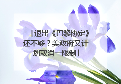 退出《巴黎协定》还不够？美政府又计划取消一限制