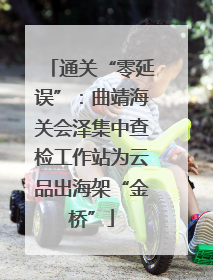 通关“零延误”：曲靖海关会泽集中查检工作站为云品出海架“金桥”