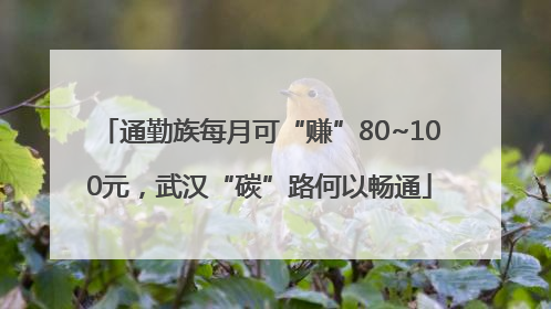 通勤族每月可“赚”80~100元，武汉“碳”路何以畅通