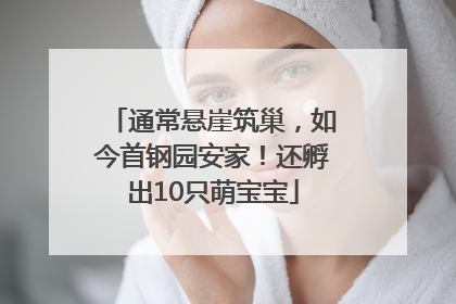 通常悬崖筑巢，如今首钢园安家！还孵出10只萌宝宝