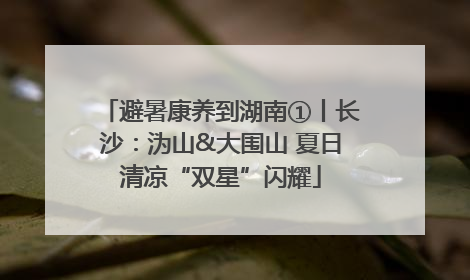 避暑康养到湖南①丨长沙：沩山&大围山 夏日清凉“双星”闪耀