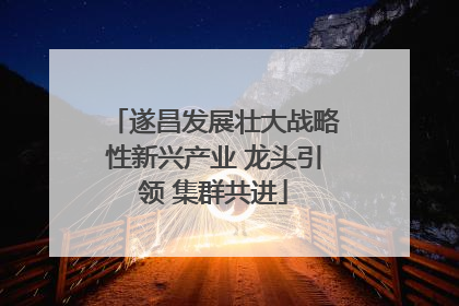 遂昌发展壮大战略性新兴产业 龙头引领 集群共进