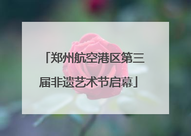 郑州航空港区第三届非遗艺术节启幕