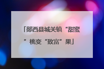 郧西县城关镇“甜蜜”桃变“致富”果