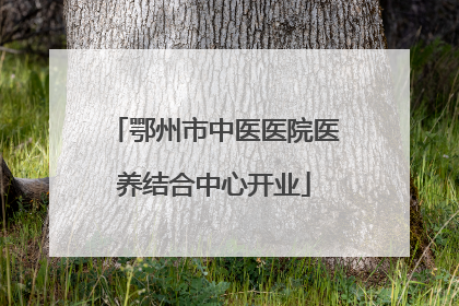 鄂州市中医医院医养结合中心开业