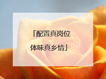 配置真岗位 体味真乡情