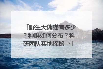 野生大熊猫有多少？种群如何分布？科研团队实地探秘→