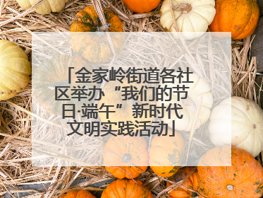 金家岭街道各社区举办“我们的节日·端午”新时代文明实践活动