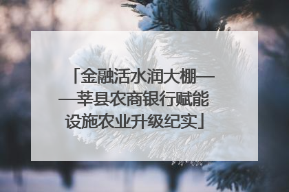 金融活水润大棚——莘县农商银行赋能设施农业升级纪实