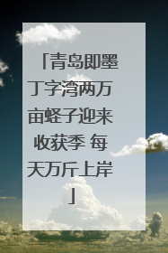 青岛即墨丁字湾两万亩蛏子迎来收获季 每天万斤上岸