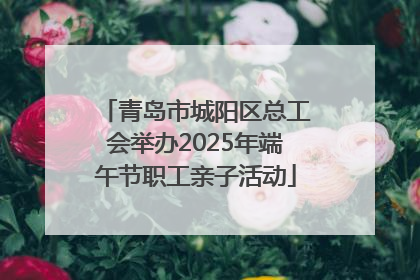 青岛市城阳区总工会举办2025年端午节职工亲子活动