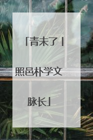青未了丨照邑朴学文脉长