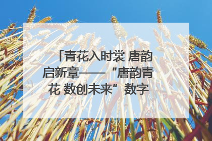 青花入时裳 唐韵启新章——“唐韵青花 数创未来”数字文创设计大赛启幕