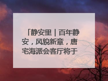 静安里｜百年静安，风貌新章，唐宅海派会客厅将于6月21日揭幕
