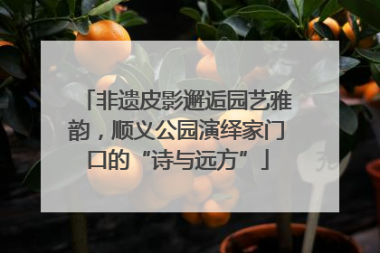 非遗皮影邂逅园艺雅韵，顺义公园演绎家门口的“诗与远方”