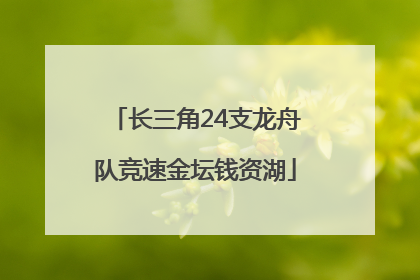 长三角24支龙舟队竞速金坛钱资湖