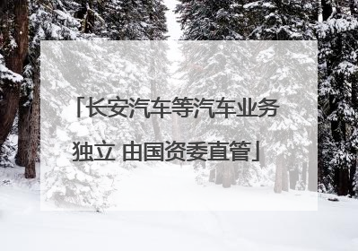 长安汽车等汽车业务独立 由国资委直管
