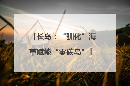 长岛：“驯化”海草赋能“零碳岛”