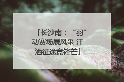 长沙南：“羽”动赛场展风采 汗洒征途竞锋芒