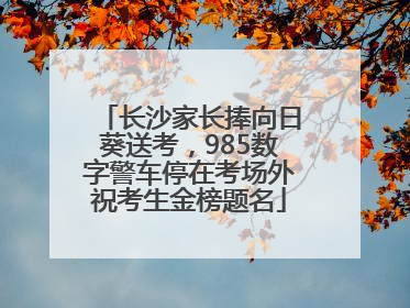 长沙家长捧向日葵送考，985数字警车停在考场外祝考生金榜题名