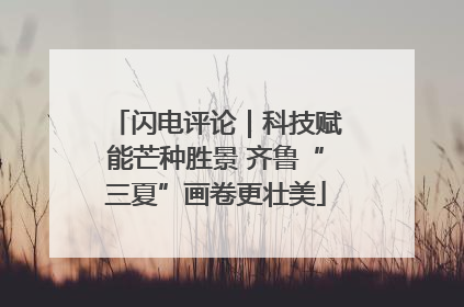 闪电评论｜科技赋能芒种胜景 齐鲁“三夏”画卷更壮美
