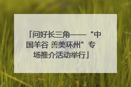 问好长三角——“中国羊谷 善美环州”专场推介活动举行