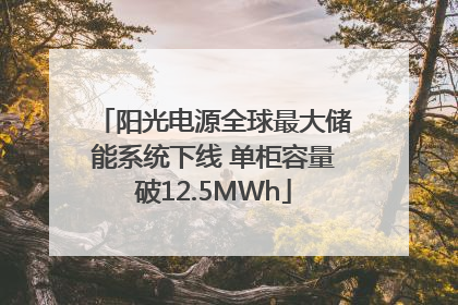 阳光电源全球最大储能系统下线 单柜容量破12.5MWh