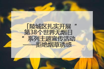 陵城区扎实开展“第38个世界无烟日”系列主题宣传活动——拒绝烟草诱惑 对第一支烟说不