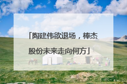 陶建伟欲退场，棒杰股份未来走向何方