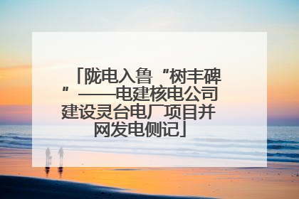 陇电入鲁“树丰碑”——电建核电公司建设灵台电厂项目并网发电侧记