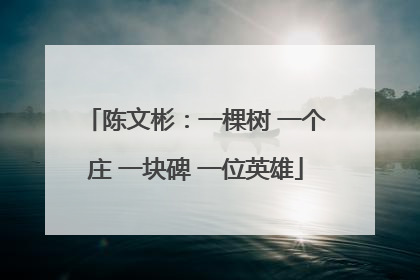 陈文彬：一棵树 一个庄 一块碑 一位英雄