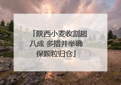 陕西小麦收割超八成 多措并举确保颗粒归仓