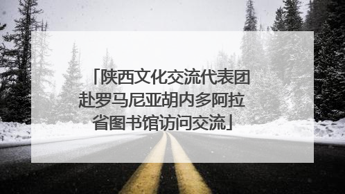 陕西文化交流代表团赴罗马尼亚胡内多阿拉省图书馆访问交流