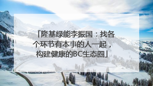 隆基绿能李振国：找各个环节有本事的人一起，构建健康的BC生态圈