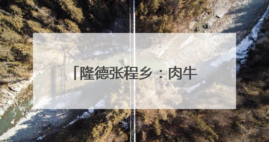 隆德张程乡：肉牛产业“牛劲”足 乡村振兴添活力