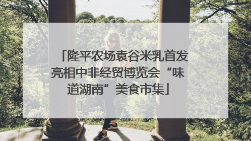 隆平农场袁谷米乳首发亮相中非经贸博览会“味道湖南”美食市集