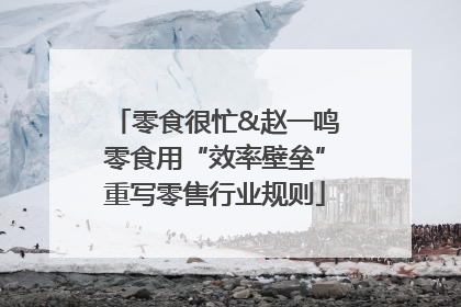 零食很忙&赵一鸣零食用“效率壁垒”重写零售行业规则