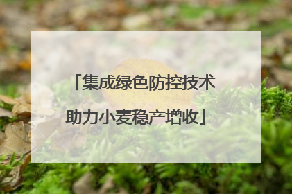 集成绿色防控技术助力小麦稳产增收