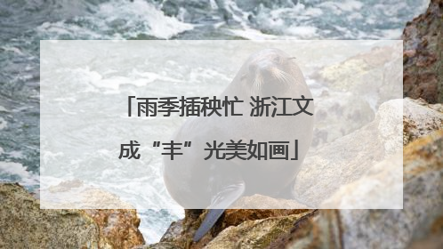 雨季插秧忙 浙江文成“丰”光美如画