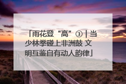 雨花登“高”③｜当少林拳碰上非洲鼓 文明互鉴自有动人韵律
