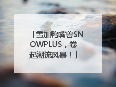 雪加鸭嘴兽SNOWPLUS，卷起潮流风暴！