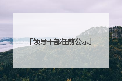 领导干部任前公示