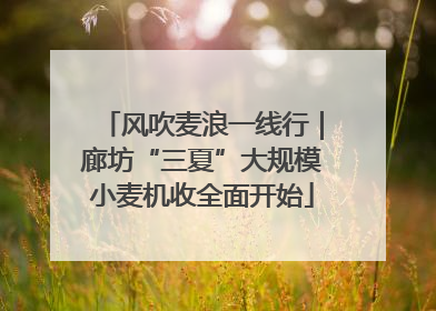 风吹麦浪一线行｜廊坊“三夏”大规模小麦机收全面开始