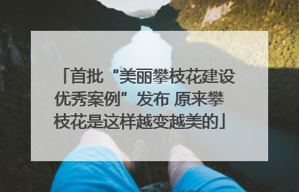 首批“美丽攀枝花建设优秀案例”发布 原来攀枝花是这样越变越美的