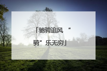 驰骋追风 “骑”乐无穷